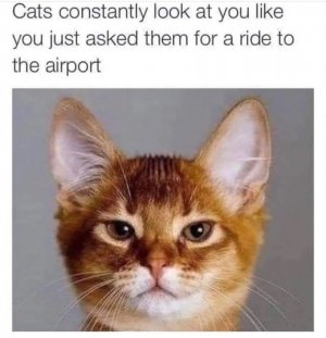 1000004691.jpg