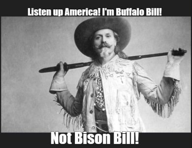 buffalo2.jpg