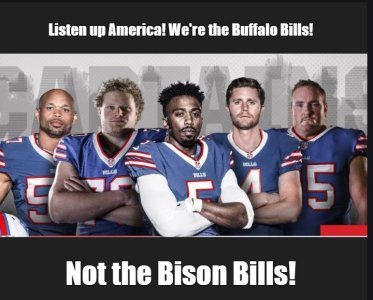 buffalo3.jpg