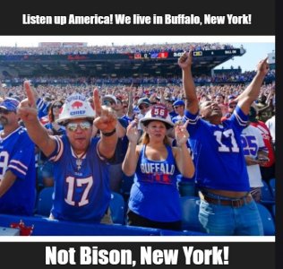 buffalo4.jpg