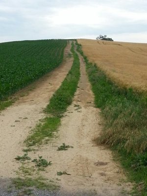 country road.jpg