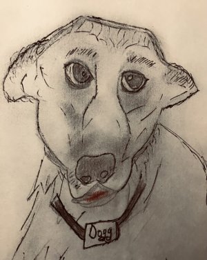 IMG_0101.jpeg