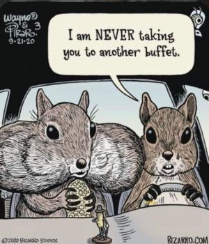 buffetjokjjehamster.jpg