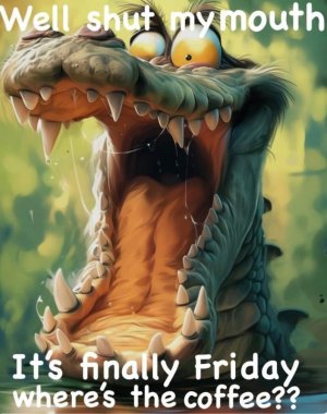 fri0.jpg