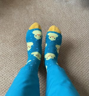 IMG_1973.jpeg