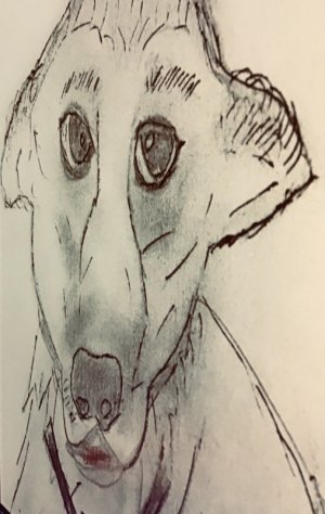 IMG_0106.jpeg
