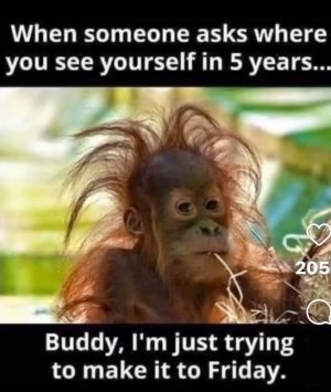 FB_IMG_1742438666162.jpg