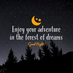 goodnight.forestofdreams.jpeg