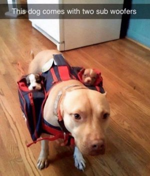 FB_IMG_1742417741900.jpg