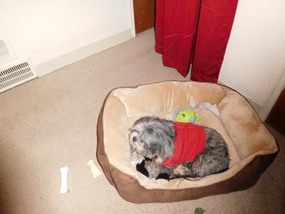 DSCN0163.JPG