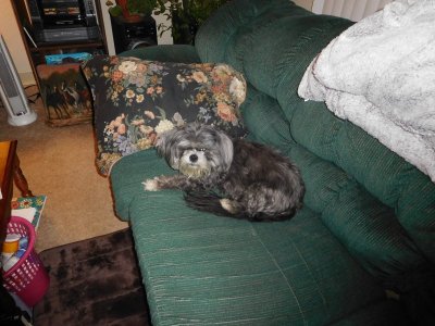 DSCN0238.JPG
