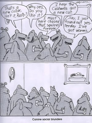 knineblundersjoke.jpg