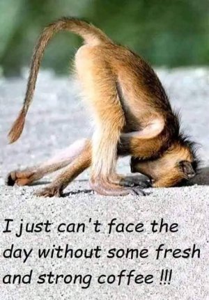 FB_IMG_1742641151458.jpg