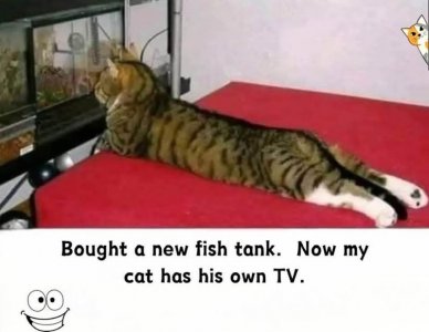 FB_IMG_1742655909222.jpg