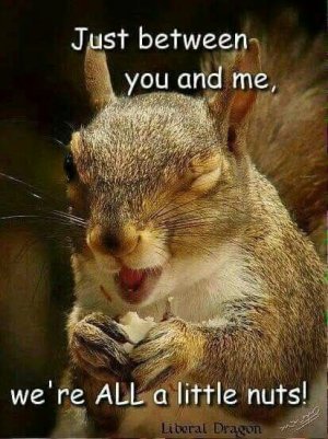 wereallnuts.jpg