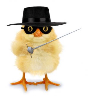 Zorro @.jpg