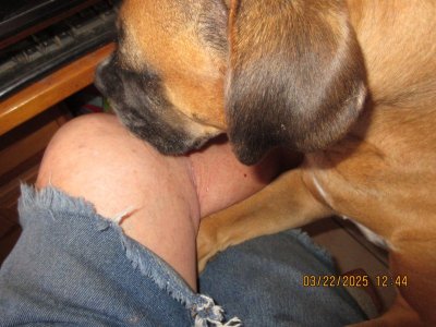 IMG_8434.JPG