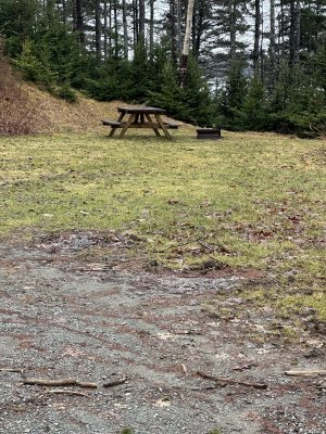 IMG_8029.jpeg