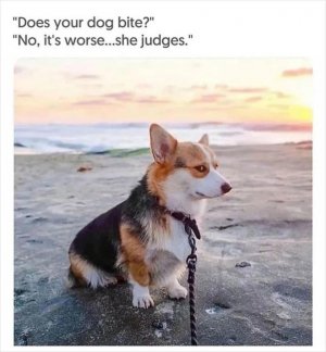 1000010725.jpg