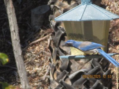 IMG_8499.JPG
