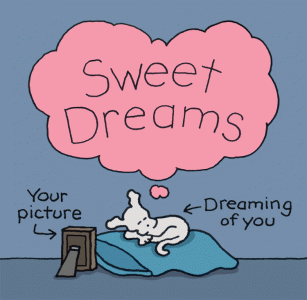 sweet dreams dog.gif