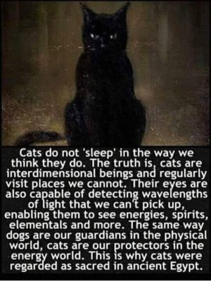 FB_IMG_1742825572747.jpg
