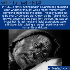 WTF-Fun-Fact-tolland-man~2.jpg