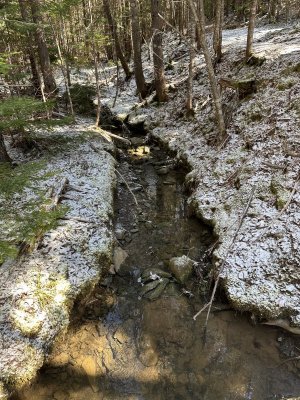IMG_8062.jpeg