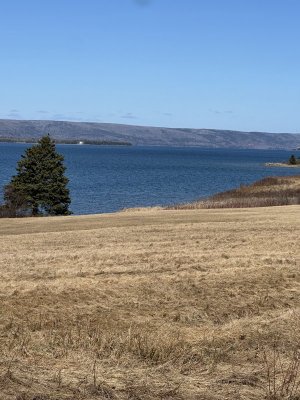 IMG_8066.jpeg