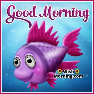 fish1.jpg