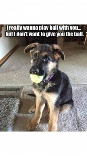 1000004769.jpg
