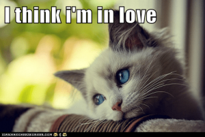 Luv.png