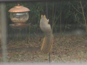 IMG_4815.jpg