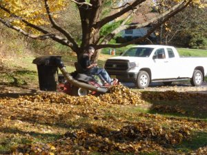 Roy leaves (800x600).jpg