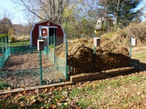 gardenleaves (800x600).jpg