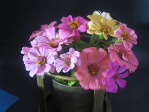 IMG_4826.jpg