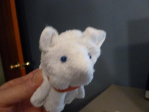 mouse.jpg