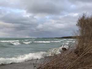 9C5E2AE9-EE95-4AD5-9F46-0E375D469FE9.jpg