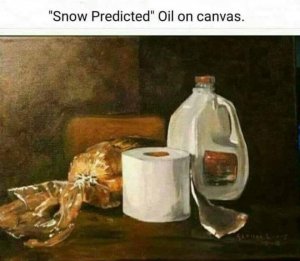 snow predicted.jpg