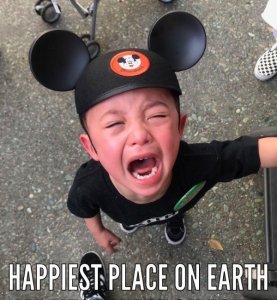 9C111CF0-C19E-4083-87F3-93285FBD5F57.jpeg