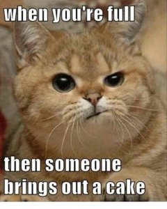 l-35590-when-youre-full-then-someone-brings-out-a-cake.jpg