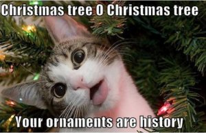 christmas-tree-o-christmas-tree-your-ornaments-are-history-funny-merry-memes.jpg