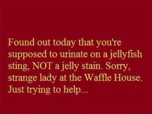 6B2398DB-1E22-4628-87DA-96E5DAA25EBA.jpeg