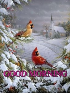 42E8DA86-82B4-4AEE-AC40-5F6C1CD0A6C5.jpeg