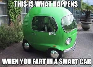 FB_IMG_1544001358094.jpg