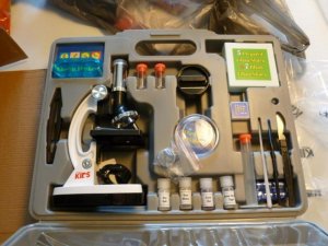 microscope (800x600).jpg microscope (800x600).jpg