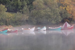 boats.JPG