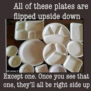 FB_IMG_1544340626335.jpg