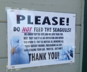 funny-signs-29-01.jpg