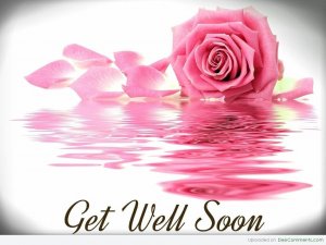 Get-Well-Soon-Pink-Rose-Water-Reflection-Graphic.jpg